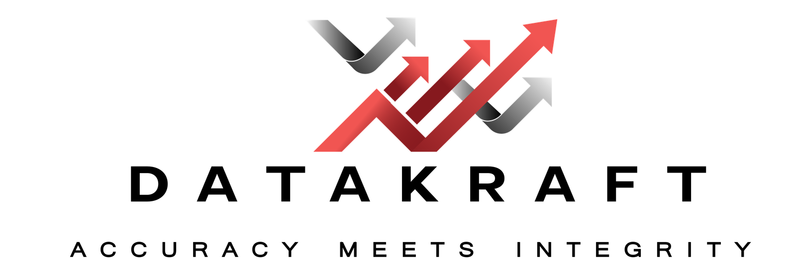 DataKraft - Accuracy Meets Integrity